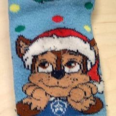 Kous, segons ha informat IKEA Gent mitjançant iLost