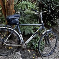 Gazelle Fiets, som rapporterats till iLost