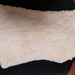 넥 백 blanc, iLost를 사용하여 TCL에 보고됨