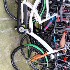 Postcode loterij damesfiets, jak nahlášeno Stadswerk072 pomocí iLost