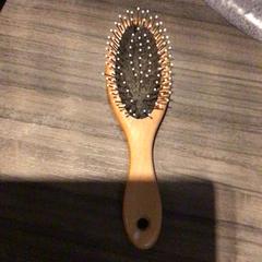 Borstel, rapporterat av Van der Valk Hotel Zwolle med iLost