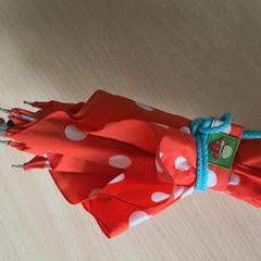 Parapluie Rot, a été signalé par Schönbrunn "Group Center" utilisant iLost