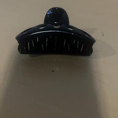 Hårklämma Zwart, rapporterat av Jaarbeurs med iLost