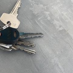 Nøkler, som rapportert av Arriva Achterhoek-Rivierenland ved bruk av iLost