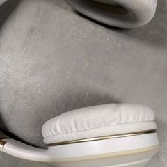 Sluchátka, jak nahlášeno Arriva Friesland / Groningen pomocí iLost