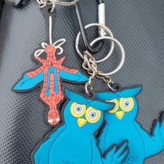 Sleutel met sleutelhanger, iLost'a bildirildiği gibi