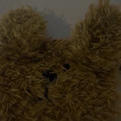 Billetera Rutgers, ha sido reportado por Jaarbeurs con iLost