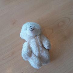 Oso de peluche BLANC, ha sido reportado por TCL con iLost