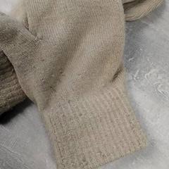 Hansker Wol, som rapportert av Arriva Friesland / Groningen ved bruk av iLost