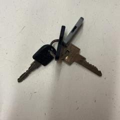 Keys, as reported by GVB using iLost