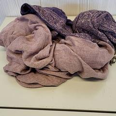 Xal, segons ha informat Transdev Gooi en Vechtstreek mitjançant iLost