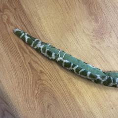 Knuffel, zoals gemeld door GVB met iLost