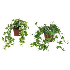 Produkt IKEA Verte, ako bolo nahlásené IKEA Montpellier pomocou iLost