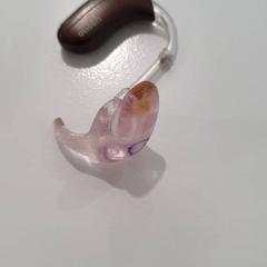 Tap per les orelles, segons ha informat Gemeente Oost Gelre mitjançant iLost