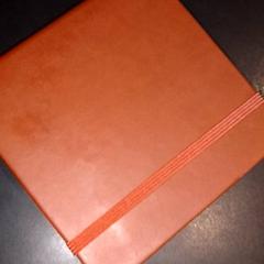 Bok, rapporterat av TivoliVredenburg med iLost