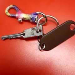 Bicycle key, as reported by UvA REC using iLost
