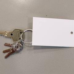 Sleutel، كما تم الإبلاغ عنه بواسطة Centraal magazijn عبر iLost