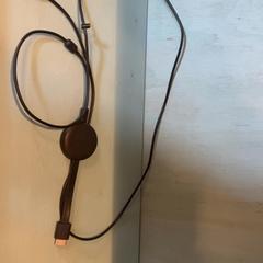 Chromecast, segons ha informat Familie Resort Molenwaard mitjançant iLost