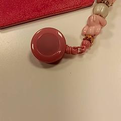 Kortholder, som rapportert av Syntus Provincie Utrecht ved bruk av iLost