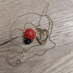 Gouden ketting met hartvormig medaillon, como reportado ao iLost