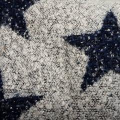 Sjal Grijs zwart, som rapportert av Arriva Friesland / Groningen ved bruk av iLost