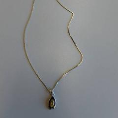 Collier, a été signalé par Zuyderland MC Heerlen utilisant iLost