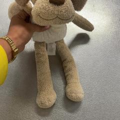 Kosete leke Hond, som rapportert av IKEA Amsterdam ved bruk av iLost