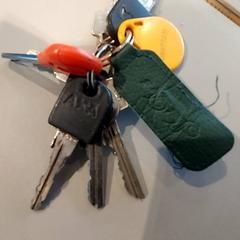 Klucze, zgłoszono przez TU/e - Receptie Neuron przy użyciu iLost