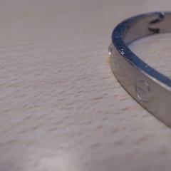 Armband, gemeldet von Walibi Holland über iLost