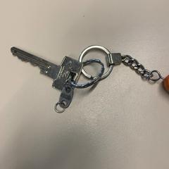 Klíč, jak nahlášeno Gemeente Wijk bij Duurstede pomocí iLost