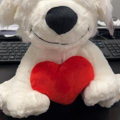 Teddi maci beer, amint azt ibis Styles Rotterdam Ahoy az iLost segítségével jelentette.