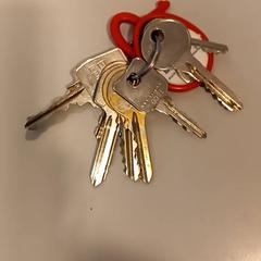 Chaveiro, segundo informou Arriva Limburg Noord usando iLost