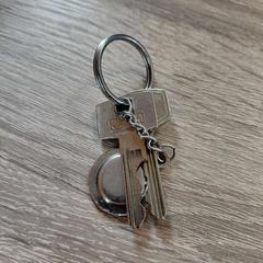 Claus, segons ha informat EBS OV Poeldijk mitjançant iLost