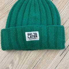 Beanie Groen Ski Ya Later, amint azt Pathé Delft az iLost segítségével jelentette.