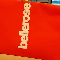 Bolsa - Papieren tas, ha sido reportado por Centraal magazijn con iLost