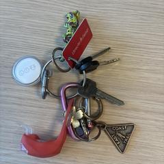 Sleutelbos, segons s'ha informat a iLost