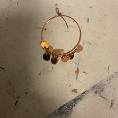 Ohrring, gemeldet von Artis über iLost