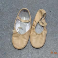 Papuče roos, ako bolo nahlásené Gemeente Leopoldsburg pomocou iLost