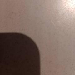 Lepokoa, gisa salatu by De Efteling iLost erabiliz