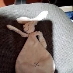 Dětská látka Wit, jak nahlášeno Apenheul pomocí iLost
