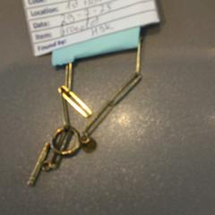 Pulseira, como reportado por MEININGER Hotel Amsterdam Amstel utilizando o iLost