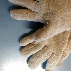 의류 Handschoenen, iLost를 사용하여 Regio Antwerpen - Brussel에 보고됨