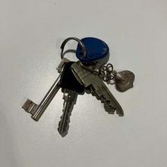 سلسلة المفاتيح، كما تم الإبلاغ عنه بواسطة Gemeente Ede عبر iLost