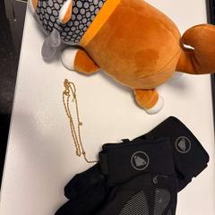 Leksak gloves and necklace, rapporterat av Ramada by Wyndham Amsterdam Airport Schiphol med iLost
