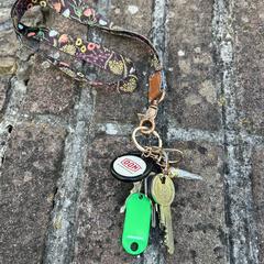 Sleutels met tag en keycord, como reportado ao iLost