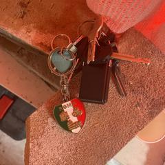 Keys, som rapporterats till iLost