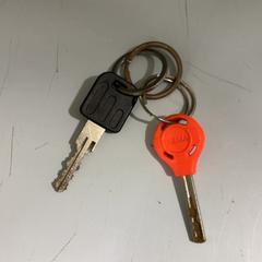 Klucz, zgłoszono przez Fenix przy użyciu iLost