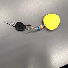 Klucz, zgłoszono przez Transdev Gooi en Vechtstreek przy użyciu iLost