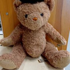 Zabawka Nounours, zgłoszono przez IKEA Toulouse przy użyciu iLost