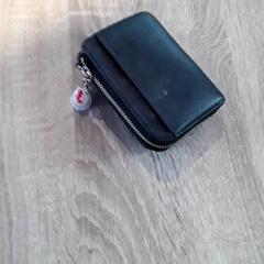 Zorroa Iwadate, gisa salatu by EBS Tramplein iLost erabiliz